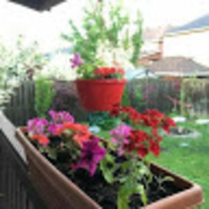 Meet your Posher, Shazia